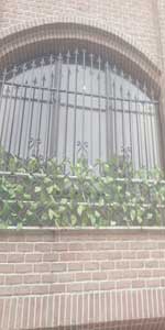 window4